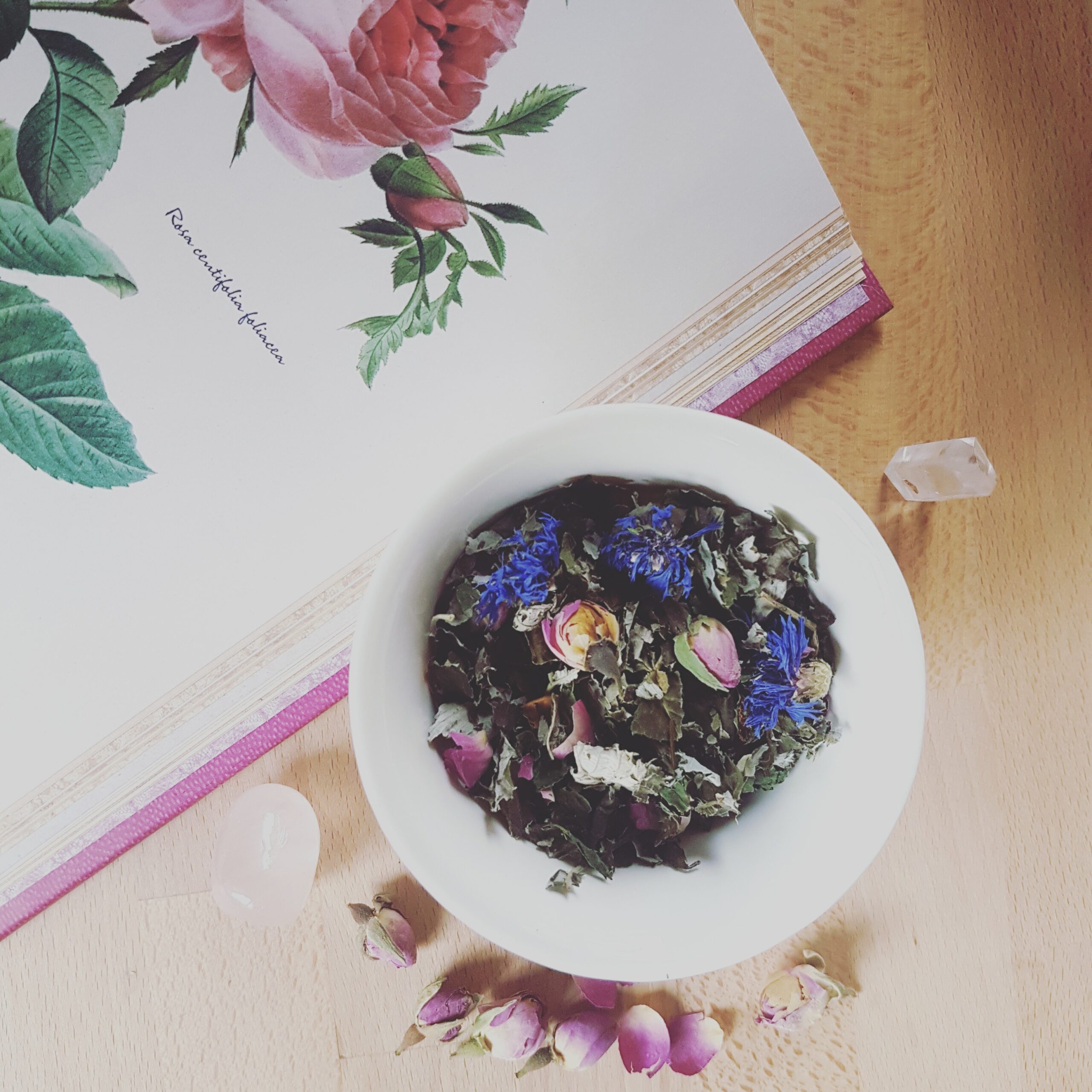 POTION DE LA LISIÈRE –  tisane des dernières lunes de grossesse